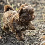 Colour Me In Bright As A Button (Retained)